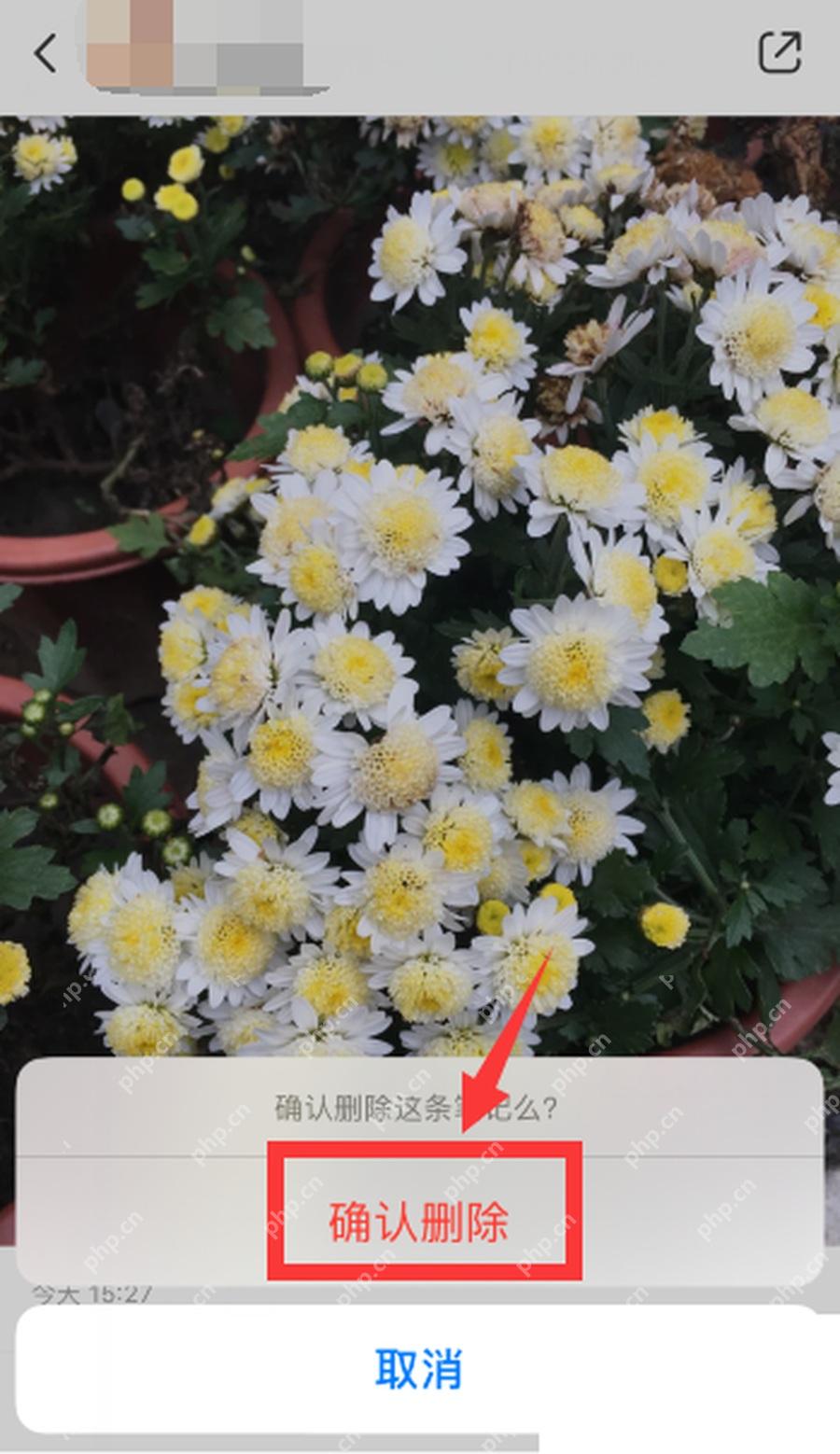 小红书怎么删除笔记_在提示框中确认删除笔记