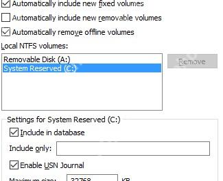 Everything NTFS 页面，Enable USN Journal 与 Monitor changes 选项位于磁盘设置区。
