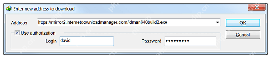 IDM Add URL 窗口显示 Address 输入框和 OK 按钮,对应粘贴浏览器链接。