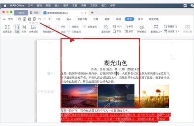 WPS 文字打开目标文档后的正文页面，用于确认导出前排版