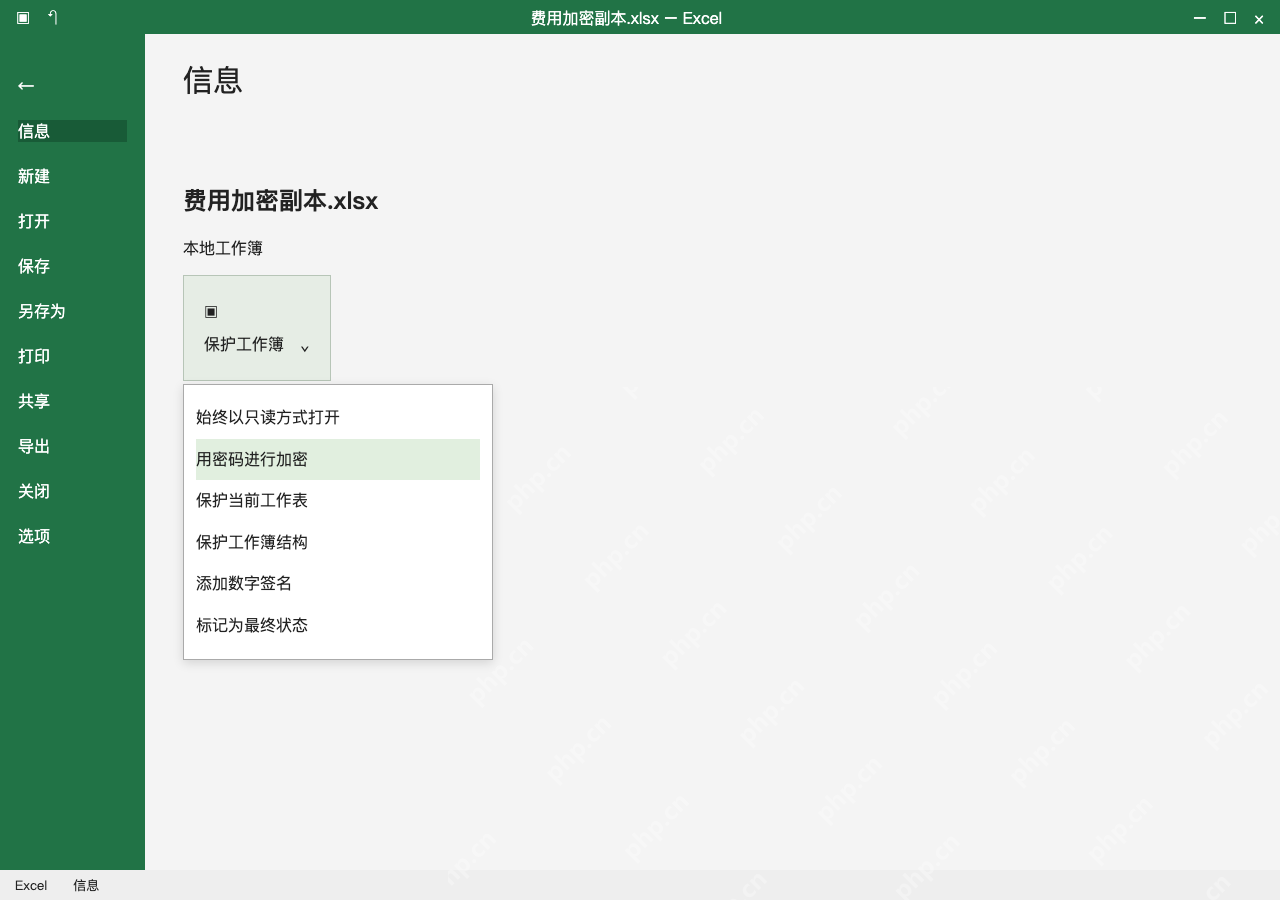 模拟 Microsoft Excel Windows桌面版 完整窗口:在信息页选择用密码进行加密