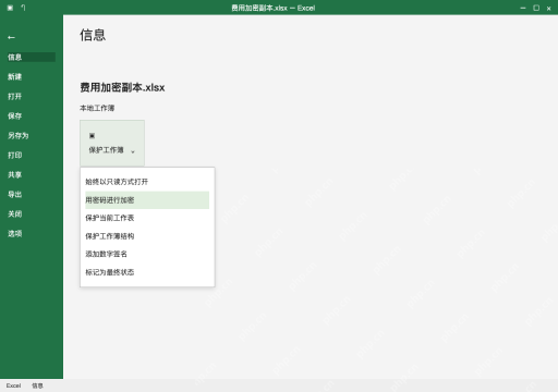 模拟 Microsoft Excel Windows桌面版 完整窗口：在信息页选择用密码进行加密