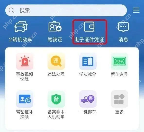 交管12123首页电子证件凭证入口