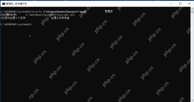 Windows 管理员命令提示符窗口准备运行 SFC