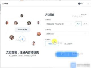 WPS文档配音设置页面
