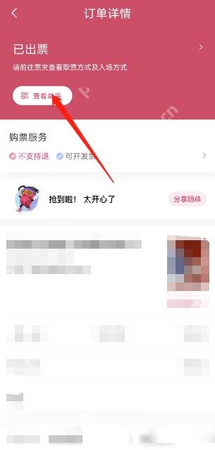 大麦订单详情查看票夹入口