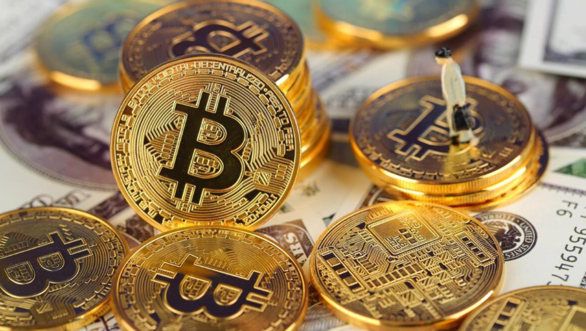 从零开始，如何搭建自己的加密货币投资组合？ - php中文网