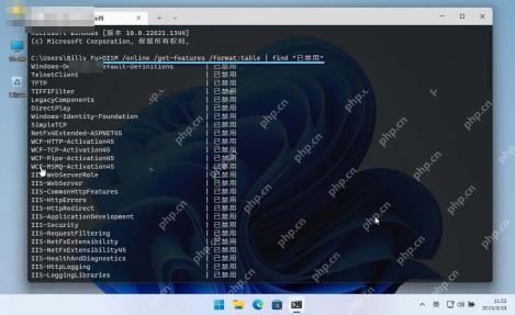 Win11 管理员 PowerShell 查询可选功能启用状态