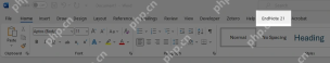 Word Windows 功能区出现 EndNote 21 选项卡表示插件已加载