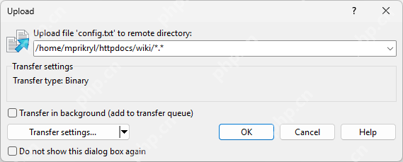 WinSCP 文件复制确认窗口用于上传或下载隐藏文件