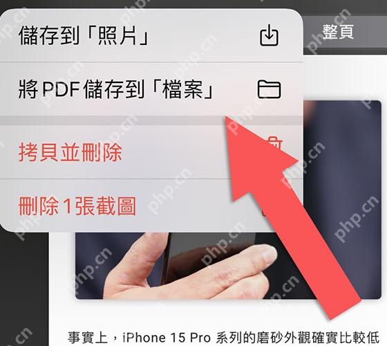 iPhone Safari 长截图选择将 PDF 存储到文件