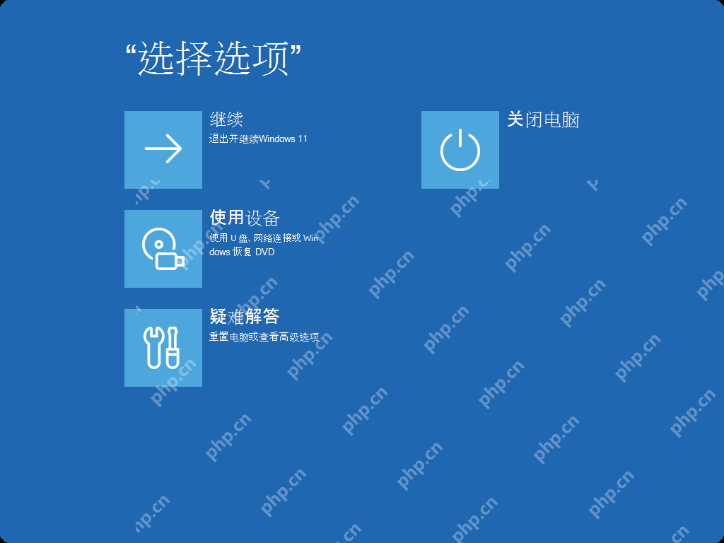 Windows 11 恢复环境选择选项页面
