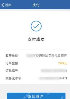 交管12123微信支付确认页的去支付按钮