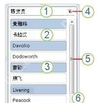 Excel 数据透视表切片器标题项目多选和清除筛选按钮示意