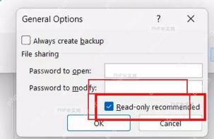 Excel General Options 对话框中 Read-only recommended 和 Password to modify 设置项