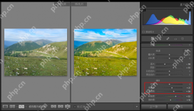 Lightroom Classic Windows 较温和的清晰度调整与修改前后画面对比