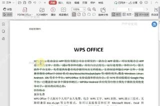 如何去除PDF文档中的删除线?中间操作