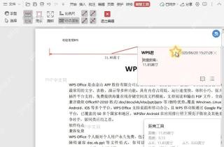 如何显示/不显示PDF文档中的测试结果面板？结果检查