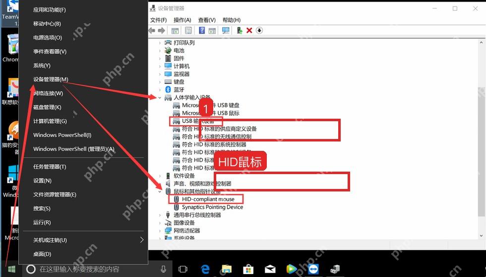Windows10 设备管理器中人体学输入设备和 HID-compliant mouse