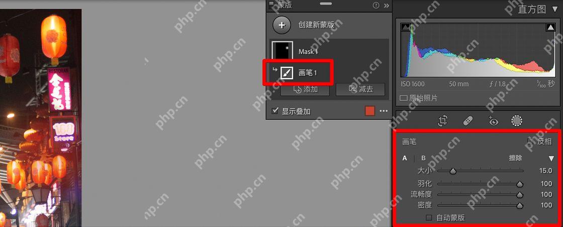 Lightroom 中文界面中的画笔蒙版入口
