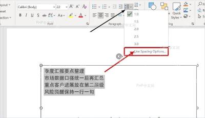 PowerPoint行距菜单底部进入行距选项入口
