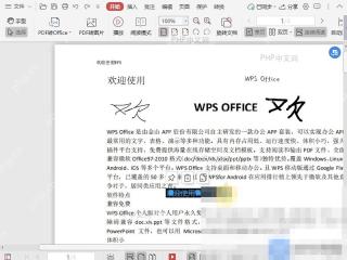PDF如何修改PDF文件中签名的大小？