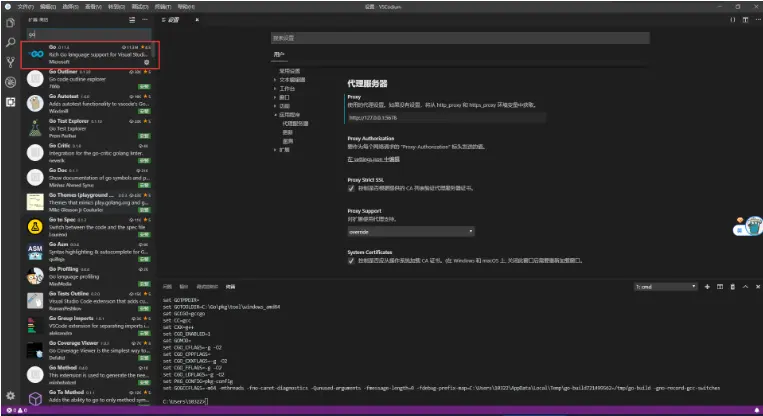 vscode의 Golang 구성 소개