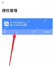 高德地图授权管理页显示支付宝免密支付已开通，红箭头指向需要进入的授权项目