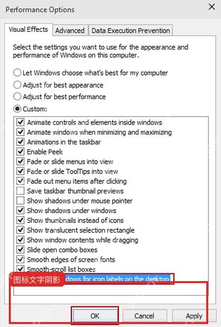 Windows10 性能选项中取消桌面图标标签阴影后的设置状态