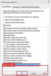 Windows10 性能选项中取消桌面图标标签阴影后的设置状态