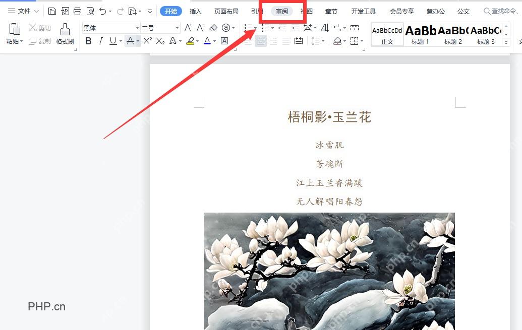 WPS文字顶部功能区中审阅选项卡入口用于第一步切换工具栏