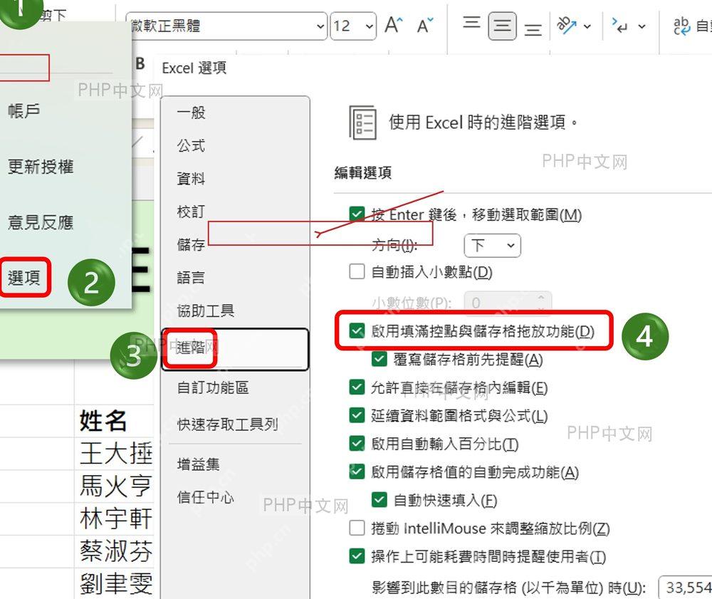 Excel 高级选项中设置启用填充柄和单元格拖放功能