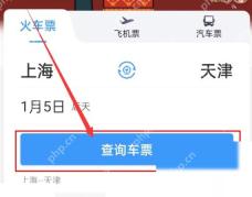 12306怎么设置出行提醒：选择出发站和到达站后点击查询车票。