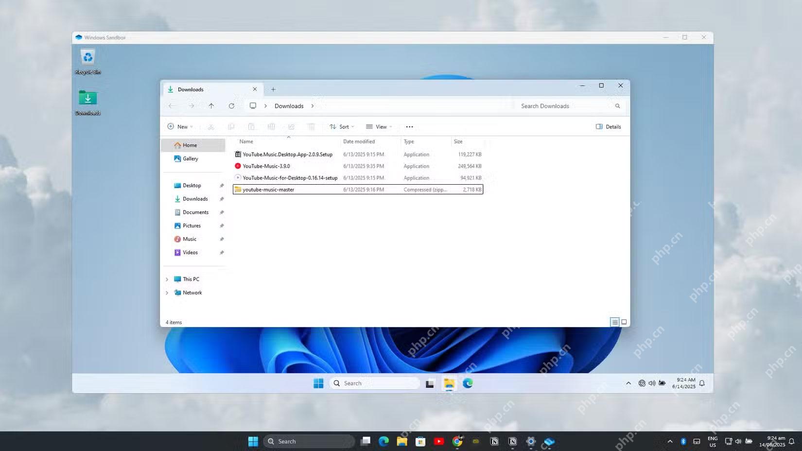 Windows Sandbox 窗口中打开下载文件夹且标题栏提示文件夹映射已启用