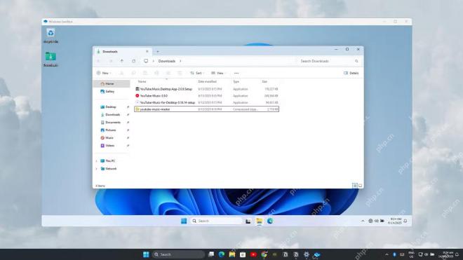 Windows Sandbox 窗口中打开下载文件夹且标题栏提示文件夹映射已启用