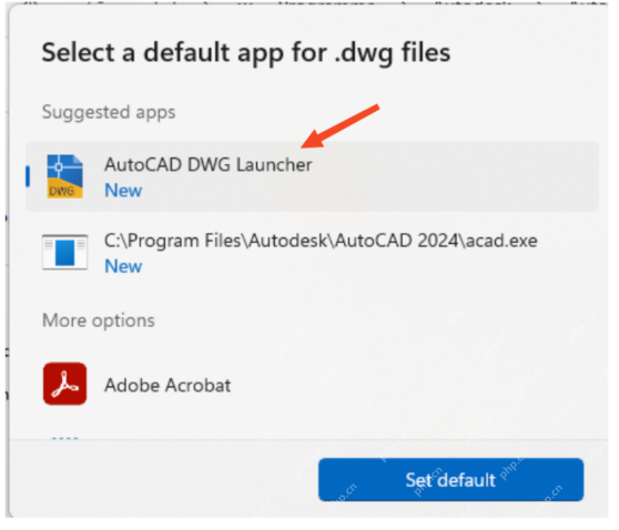 Windows 程序列表里选择 AutoCAD DWG Launcher 的截图，证明 .dwg 双击打不开时要把默认程序改回 AutoCAD DWG Launcher。