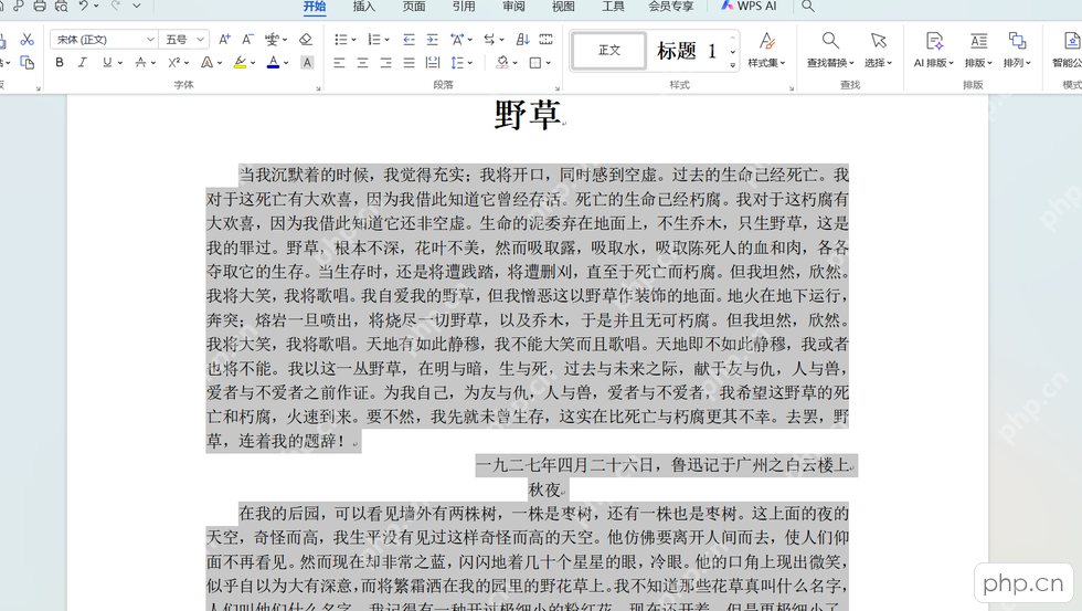 WPS文字正文段落完成首行缩进后的排版效果