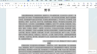 WPS文字正文段落完成首行缩进后的排版效果