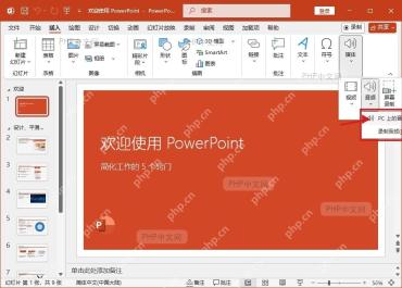 PowerPoint 音频菜单中选择 PC 上的音频