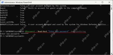 Windows PowerShell 使用 Read-Host AsSecureString 遮挡密码输入