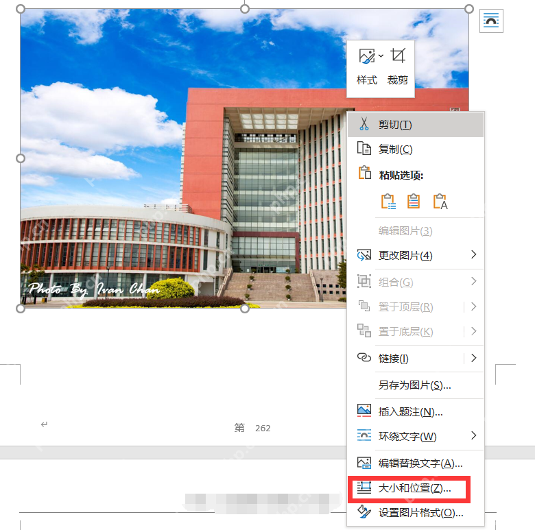 Word 图片右键菜单中打开大小和位置设置