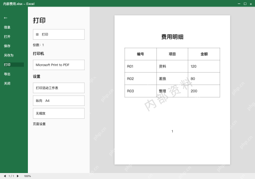 模拟 Microsoft Excel Windows桌面版 完整窗口:先淡化并预览,确认水印不盖住金额