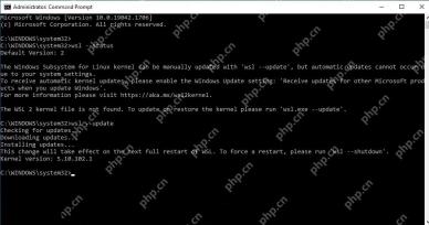 管理员 PowerShell 执行 wsl update 并提示关闭 WSL