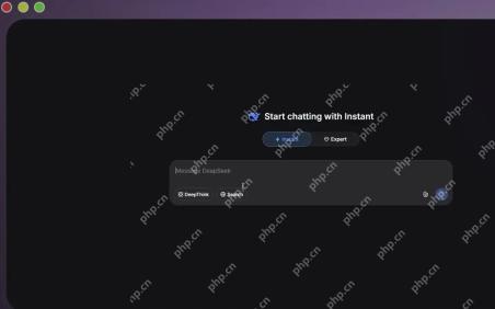 DeepSeek即时模式输入界面
