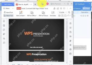 PPT 导出成功后打开 PDF 预览