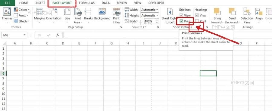 Excel 页面布局中勾选网格线打印复选框，解决打印没有网格线的问题