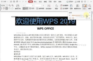 如何调整PDF朗读功能的语调？中间操作