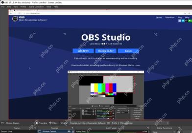 OBS Studio 预览区显示来源位置用于确认锁定前的画面排版