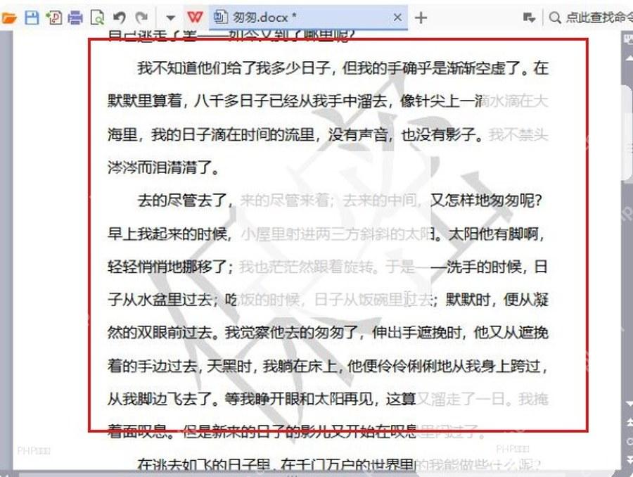 WPS 文档页面水印清除后正文恢复干净显示