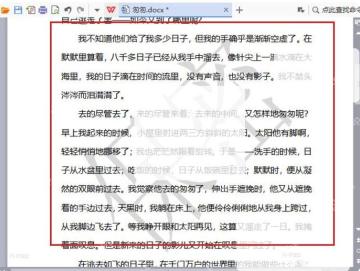 WPS 文档页面水印清除后正文恢复干净显示
